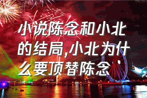 小说陈念和小北的结局（小北为什么要顶替陈念）