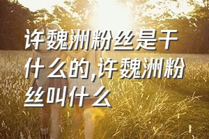 许魏洲粉丝是干什么的（许魏洲粉丝叫什么）