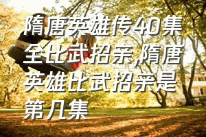 隋唐英雄传40集全比武招亲（隋唐英雄比武招亲是第几集）