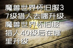 魔兽世界怀旧服37级猎人去哪升级（魔兽世界怀旧服猎人40级后在哪里升级）