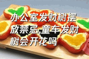 办公室发财树摆放禁忌（童车发财树会开花吗）