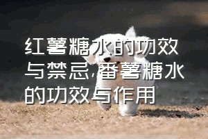 红薯糖水的功效与禁忌（番薯糖水的功效与作用）