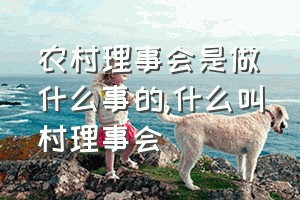 农村理事会是做什么事的（什么叫村理事会）