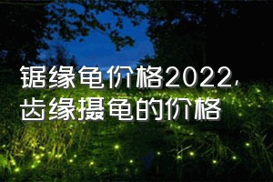 锯缘龟价格2022（齿缘摄龟的价格）