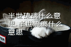 半世琉璃什么意思（半世流离什么意思）