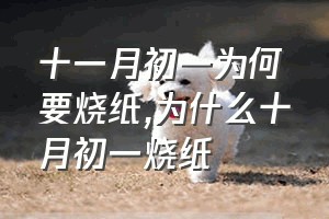 十一月初一为何要烧纸（为什么十月初一烧纸）