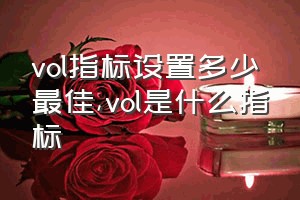 vol指标设置多少最佳（vol是什么指标）