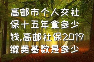 高邮市个人交社保十五年拿多少钱（高邮社保2019缴费基数是多少）