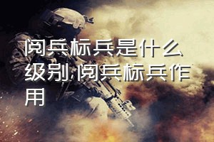 阅兵标兵是什么级别（阅兵标兵作用）