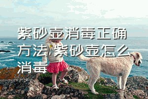 紫砂壶消毒正确方法（紫砂壶怎么消毒）