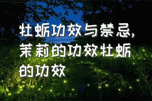 牡蛎功效与禁忌（茉莉的功效牡蛎的功效）