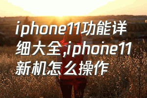 iphone11功能详细大全（iphone11新机怎么操作）