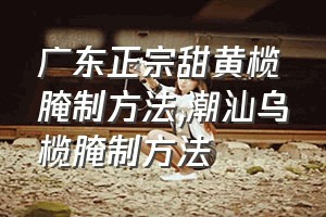 广东正宗甜黄榄腌制方法（潮汕乌榄腌制方法）