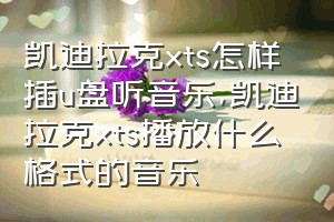 凯迪拉克xts怎样插u盘听音乐（凯迪拉克xts播放什么格式的音乐）