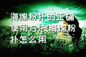 海绵粉扑的正确使用方法（海绵粉扑怎么用）