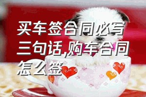 买车签合同必写三句话（购车合同怎么签）