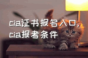 cia证书报名入口（cia报考条件）