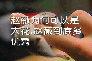 赵薇为何可以是大花（赵薇到底多优秀）