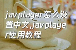 javplayer怎么设置中文（javplayer使用教程）