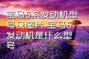 宝马5系发动机型号及图片（宝马5发动机是什么型号）