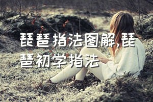 琵琶指法图解（琵琶初学指法）