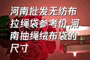 河南批发无纺布拉绳袋参考价（河南抽绳绒布袋的尺寸）