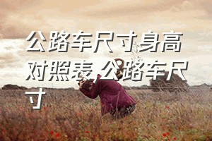 公路车尺寸身高对照表（公路车尺寸）