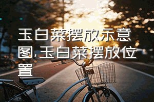 玉白菜摆放示意图（玉白菜摆放位置）