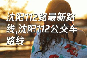 沈阳112路最新路线（沈阳112公交车路线）
