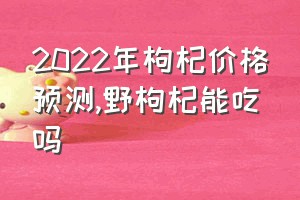 2022年枸杞价格预测（野枸杞能吃吗）