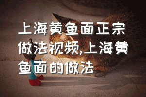 上海黄鱼面正宗做法视频（上海黄鱼面的做法）