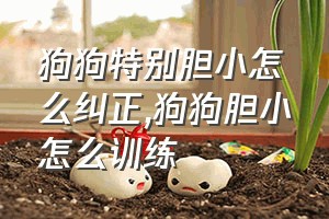 狗狗特别胆小怎么纠正（狗狗胆小怎么训练）