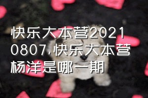 快乐大本营20210807（快乐大本营杨洋是哪一期）