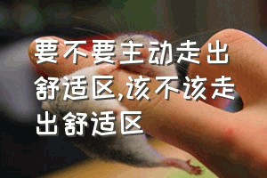 要不要主动走出舒适区（该不该走出舒适区）