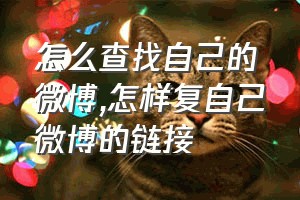 怎么查找自己的微博（怎样复自己微博的链接）