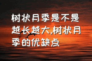 树状月季是不是越长越大（树状月季的优缺点）