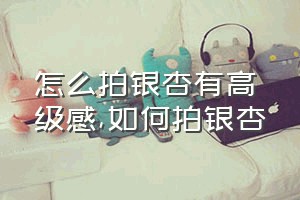 怎么拍银杏有高级感（如何拍银杏）