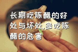 长期吃陈醋的好处与坏处（多吃陈醋的危害）