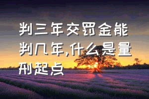 判三年交罚金能判几年（什么是量刑起点）