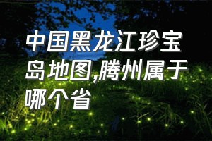 中国黑龙江珍宝岛地图（腾州属于哪个省）