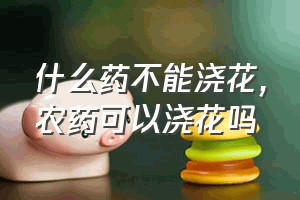 什么药不能浇花（农药可以浇花吗）