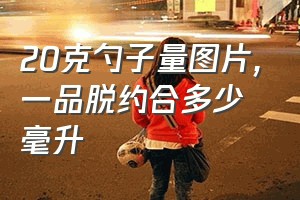 20克勺子量图片（一品脱约合多少毫升）