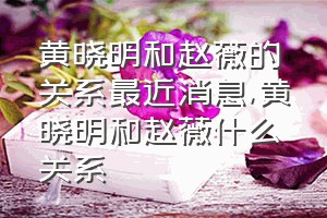 黄晓明和赵薇的关系最近消息（黄晓明和赵薇什么关系）