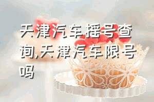 天津汽车摇号查询（天津汽车限号吗）