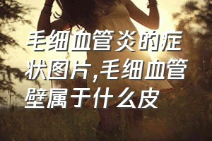 毛细血管炎的症状图片（毛细血管壁属于什么皮）