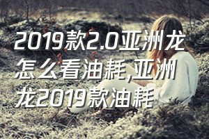 2019款2.0亚洲龙怎么看油耗（亚洲龙2019款油耗）