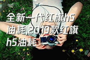 全新一代红旗h5油耗（2019款红旗h5油耗）