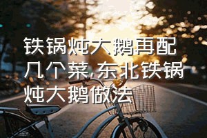 铁锅炖大鹅再配几个菜（东北铁锅炖大鹅做法）