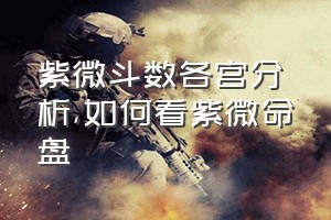 紫微斗数各宫分析（如何看紫微命盘）