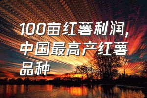 100亩红薯利润（中国最高产红薯品种）